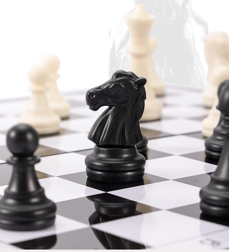 Yingba International Chess Set with Black And White Magnetic Pieces, Foldable, Portable, for Training And Teaching, Magnetic Chess Stones And Board, Camping CS25 10