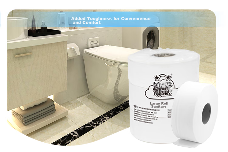 Hygienix Commercial Core Roll Toilet Paper, 2-Ply, 240 Meters * 12 Rolls, Whole Box of Toilet Paper for Shopping Malls, Hotels, And Office Use 10
