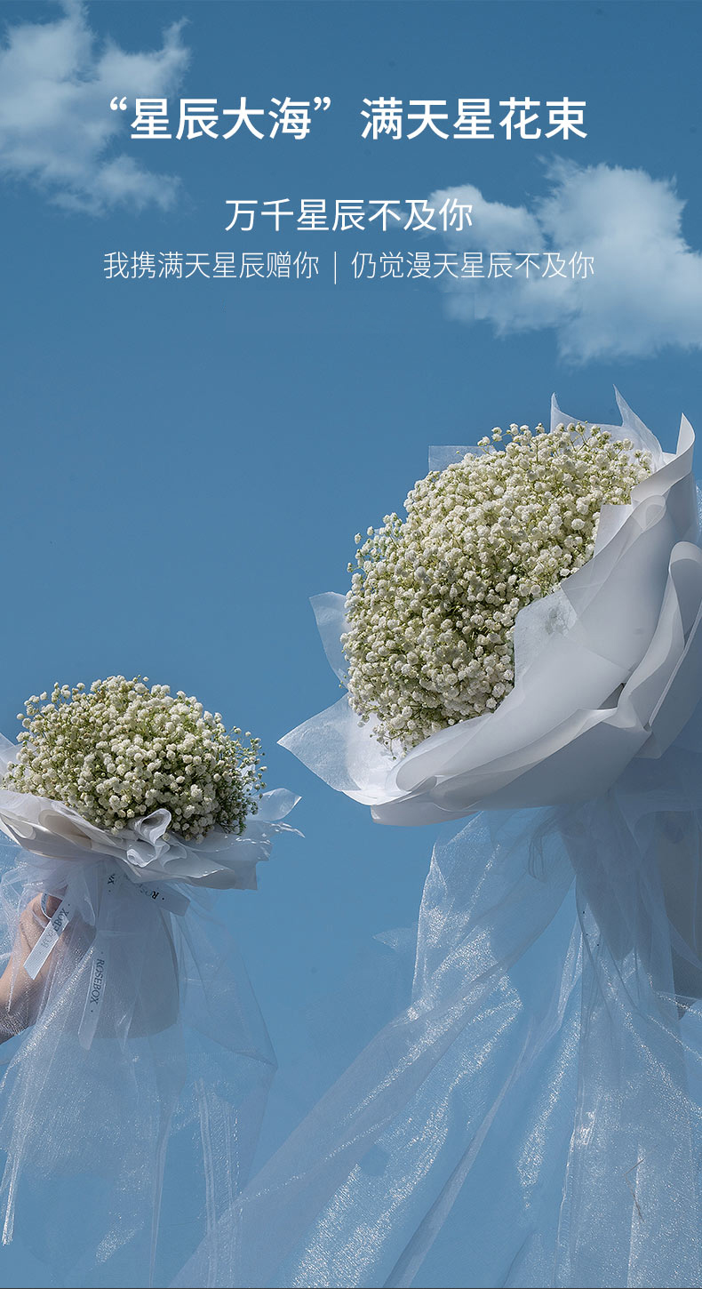 roselita满天星花束白色小号