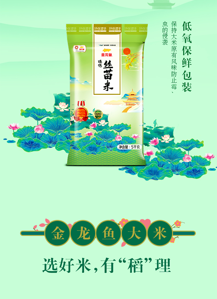 图片破损