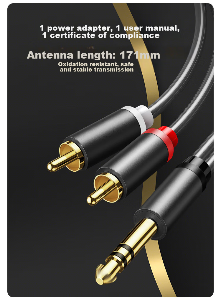 HAILE 6.5mm to Dual RCA Audio Cable, 6.35mm Male to 2RCA Red And White Male, Amplifier Mixer to Speaker Converter Cable, 5 Meters, HT-6L2 3