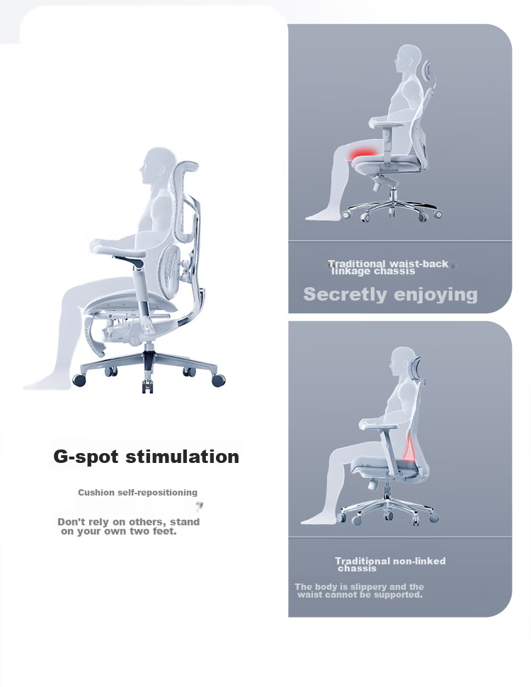SIHOO S300 Ergonomic Chair, Computer Chair, Lumbar Support Office Chair, Ergonomic Seat, Gaming Chair with Integrated Headrest 10