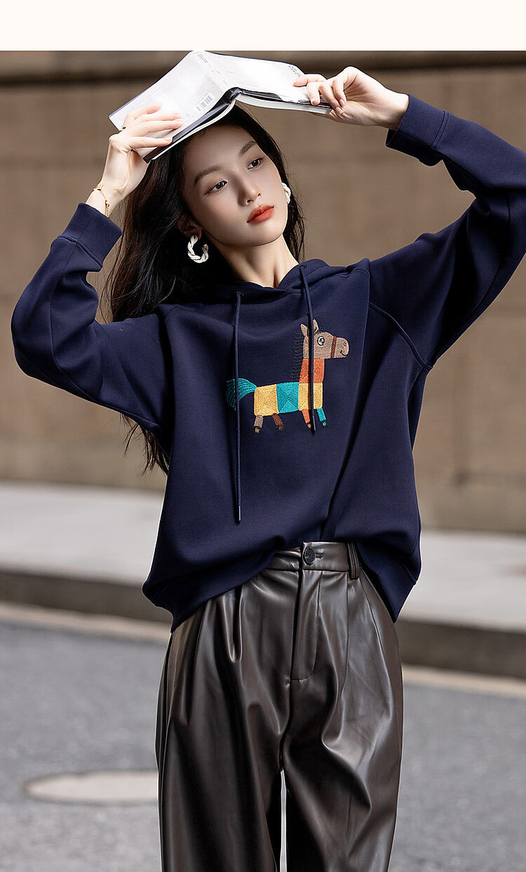 DME "Fresh Clothes and Angry Horses" Embroidered Hoodie, Spring and Autumn Age-Reducing Weapon, Soft 350G Air Layer Hooded Top 14