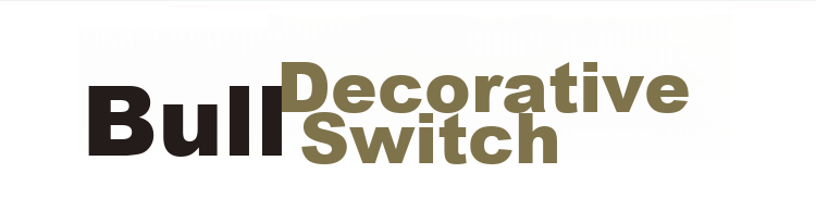 BULL Switch Socket G28 Series, 16A Switch Socket with 86-Type Socket Panel, G28E204AS, Pearl White 2
