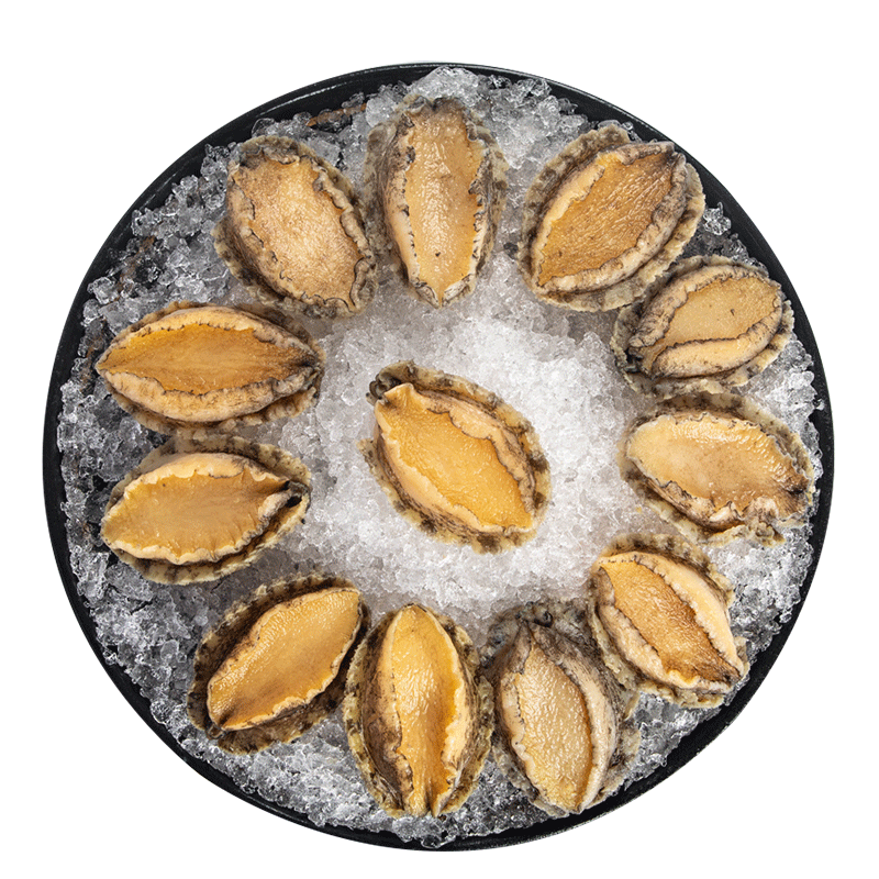 江船长无壳鲍鱼肉净重110g(12粒）活鲍加工 火锅烧烤海鲜 生鲜