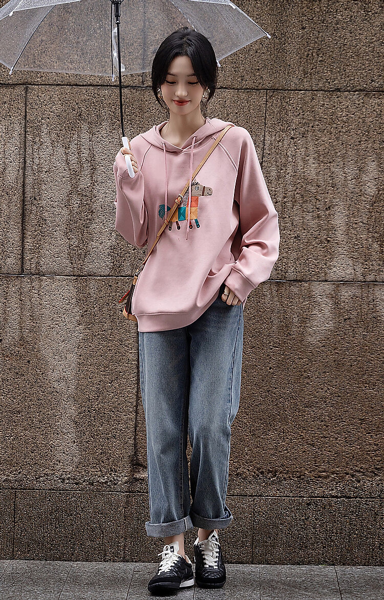 DME "Fresh Clothes and Angry Horses" Embroidered Hoodie, Spring and Autumn Age-Reducing Weapon, Soft 350G Air Layer Hooded Top 19