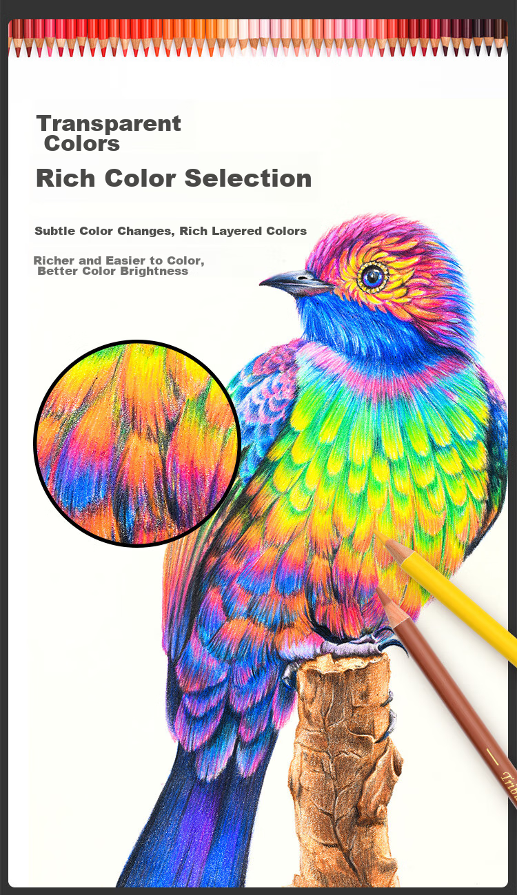 MARCO Master Series Oil-Based Colored Pencils Art Student Special Set, Colorful Pencils Birthday Back-To Gift, Master Gift Box [300-Color Gift Box] 10