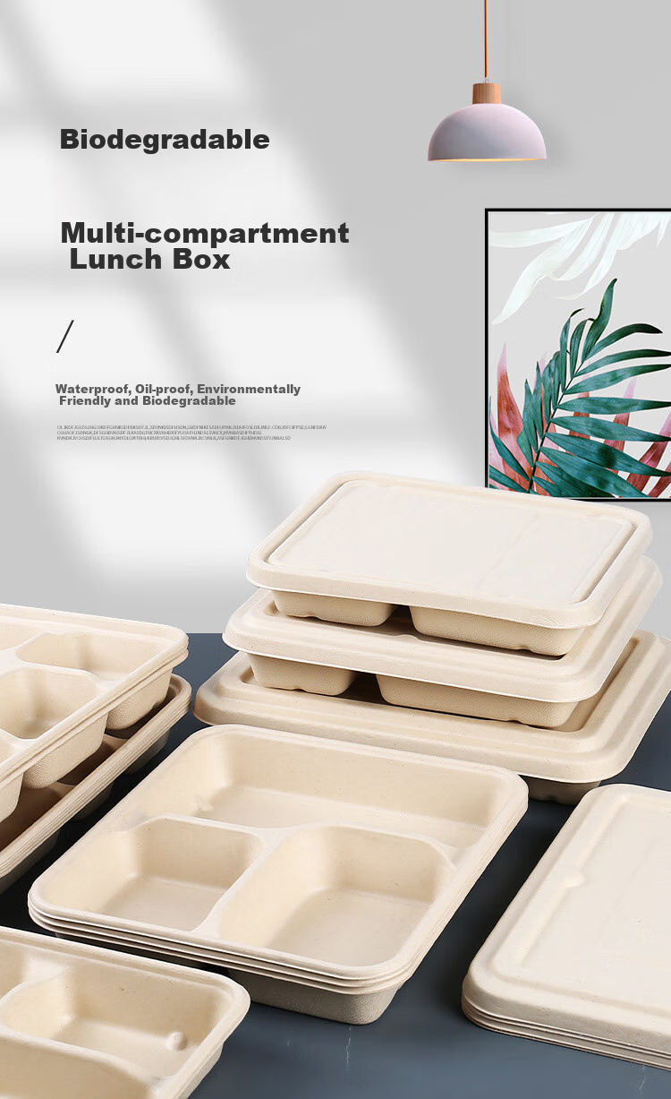 Youjialiangpin Disposable Food Containers, Microwave-Safe, Biodegradable, with Lids, Thickened, Five-Compartment Takeout Boxes, 1400ml*10 Sets 1