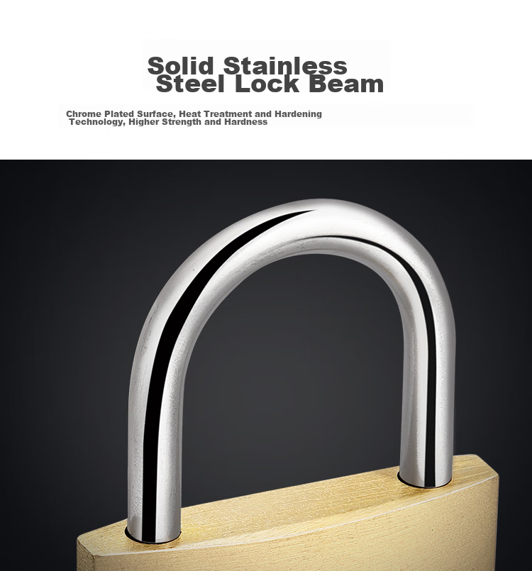 Fly.Globe Brass Padlock, Waterproof And Rust-Resistant Lock, Door Lock, Drawer Lock, Cabinet Lock, Anti-Theft Window Lock, 30MM 10
