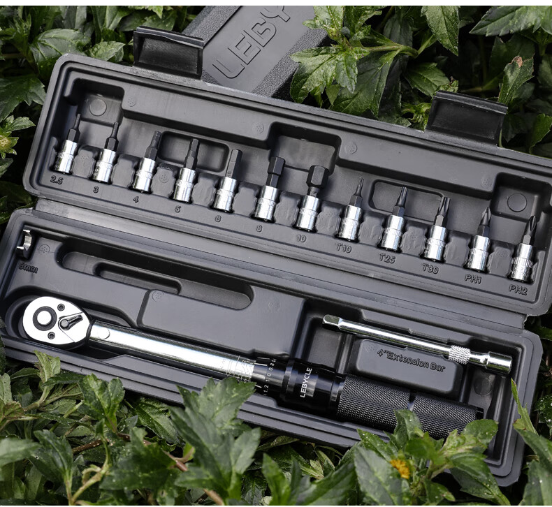 LEBYCLE Mountain Road Bike Torque Wrench Hex Head Torque Ratchet Specialized Repair Tool Set 2-24NM 10