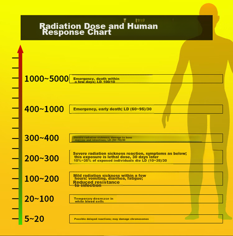 Aikesi Nuclear Radiation Detector, Personal Dosimeter Alarm, X-Ray Beta Gamma Radiation Ray CT Room Geiger Counter 3