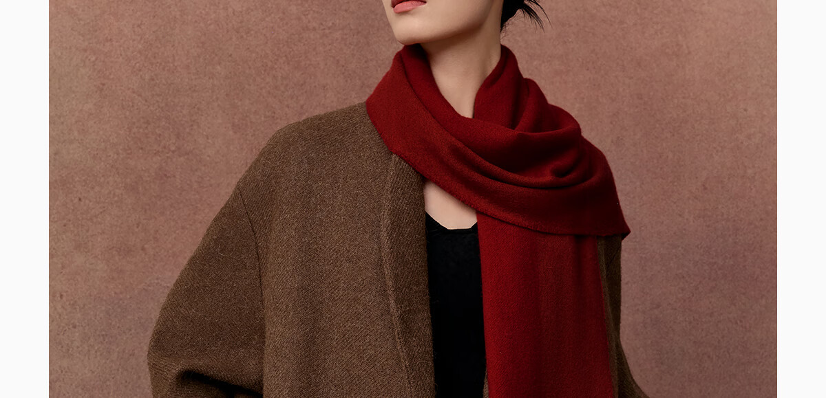 Wanshili Cashmere Scarf, Autumn And Winter Warm Neck Warmer, Fashionable Shawl for Men And Women, Gift for New Year And Holiday Season, Gift Box - Fenghua Ji 42