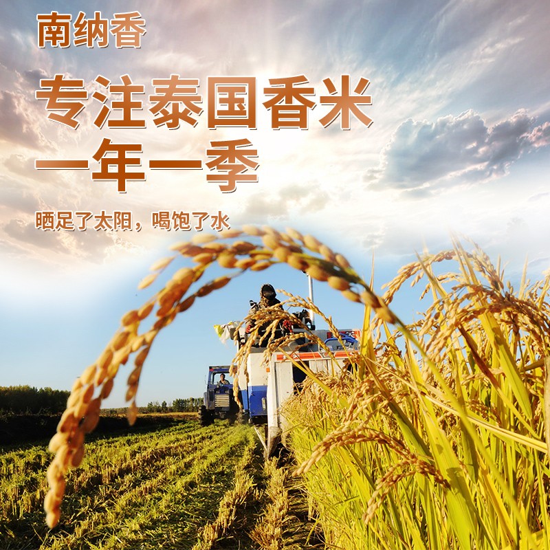 南纳香泰国【乌汶府茉莉香米】20斤长粒香大米进口泰国香米-新米10kg