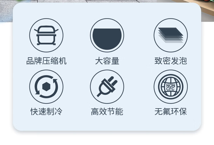 穗凌冷柜|穗凌|东骏冷柜|东骏