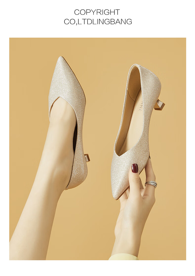 DAPHNE Champagne Silver Wedding Shoes for Women, Pointed Toe Stiletto Elegant Low-Cut Women's Pumps 4623101027 Champagne Color Size 38 7