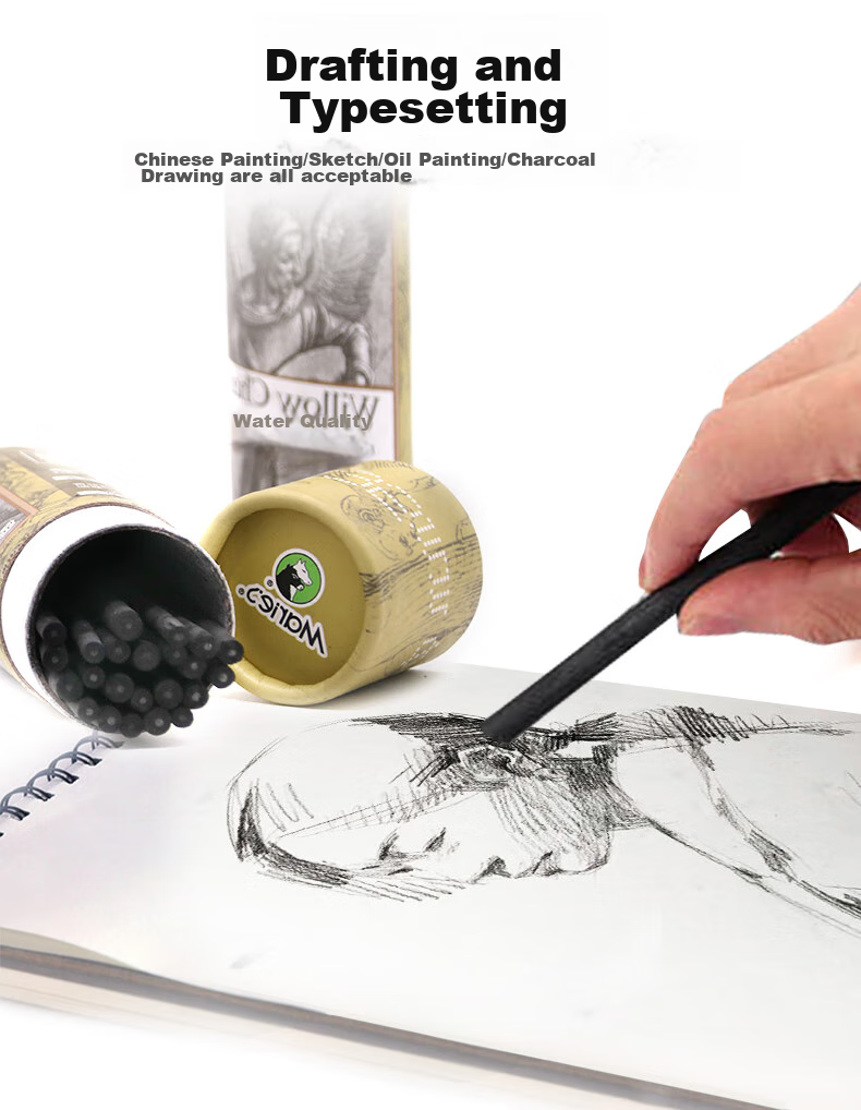 Marie's Cotton Willow Charcoal Sticks, Charcoal Pencils, Charcoal Refinements, Charcoal Bars, Sketching, Quick Drawing, Drawing, Extra Concentrated Charcoal Drawing Sticks - C7335 (15 Mixed Pieces), Art Sketching 9