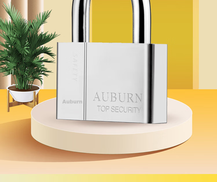 Aoben Padlock, Door Lock, Warehouse Large Iron Gate Lock, Home And School Use, Large Anti-Rust Lock, Anti-Theft Lock, 7660 Upgraded Versio 2