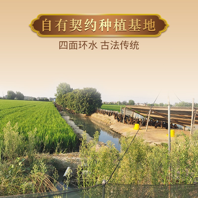 十月江南2025当季新米崇明岛大米10斤糯软香米含胚芽-六面黑岛