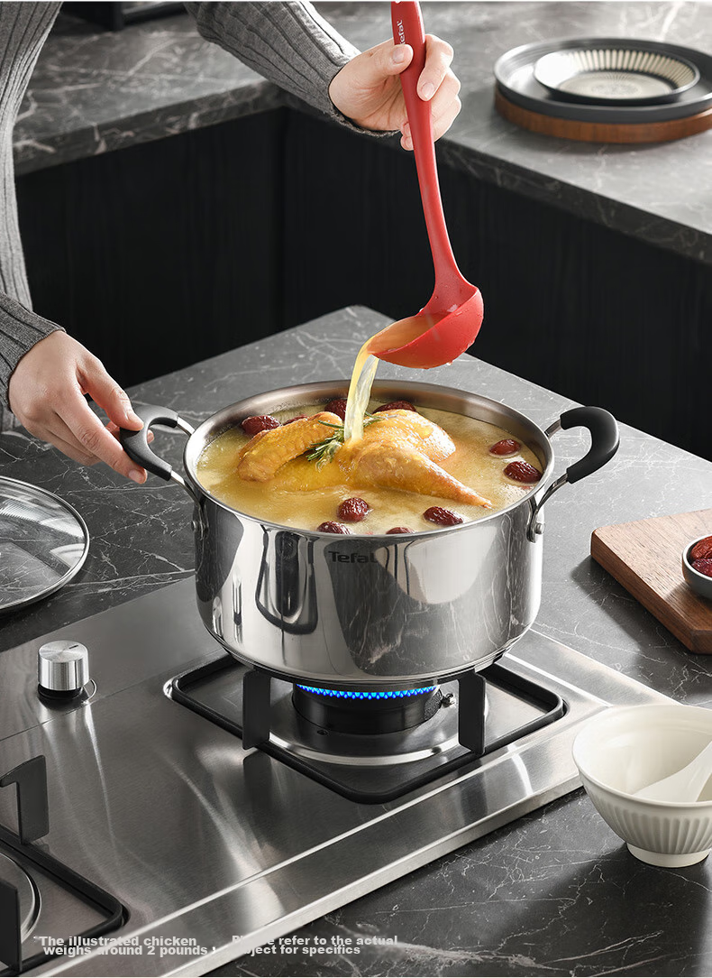 Tefal Stainless Steel Soup Pot, Thickened Stew Pot, Suitable for Induction Cooker, Large Capacity Cooking Pot, Dishwasher Safe 14