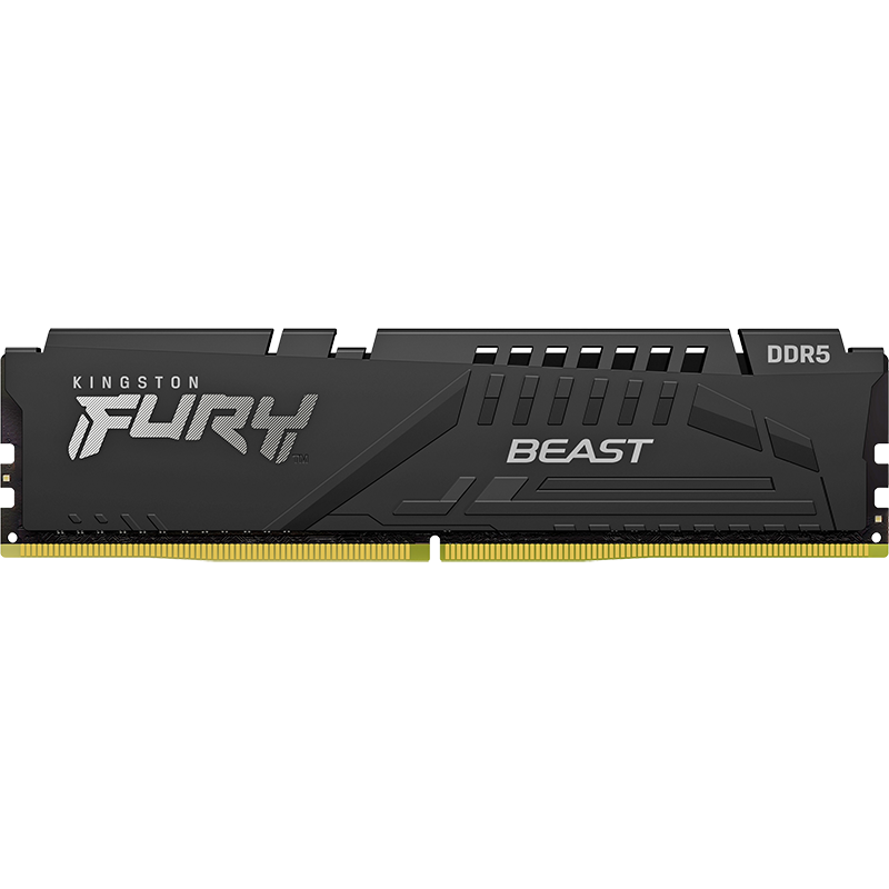 Kingston FURY 64GB (32G×2) Kit, DDR5 5200, Desktop Memory Module, Beast Series, HyperX