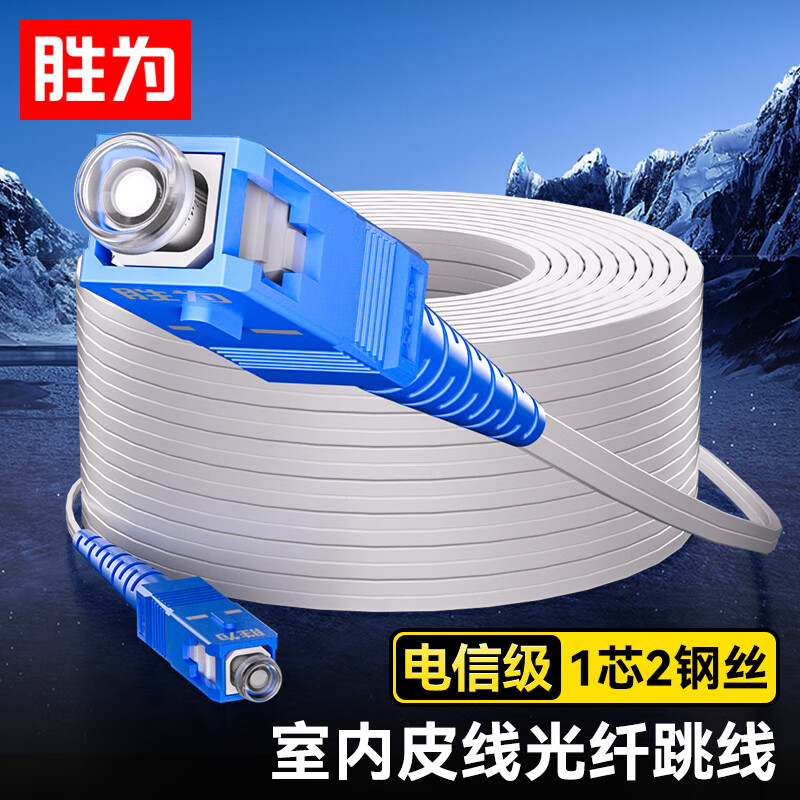 Shengwei Pigtail Fiber Optic Patch Cable, Telecom-Grade Optical Cable, Indoor Network Cable Single-Mode Single-Core Fiber Optic Extension Cord for Optical Modem, 1-Core 2-Steel Wire Finished Patch Cable, 50 Meters FSIP-1050