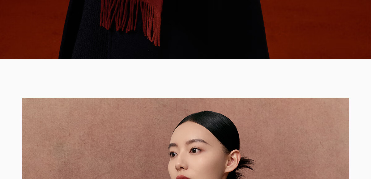 Wanshili Cashmere Scarf, Autumn And Winter Warm Neck Warmer, Fashionable Shawl for Men And Women, Gift for New Year And Holiday Season, Gift Box - Fenghua Ji 41