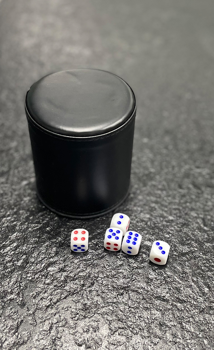 Shenglv Leather Dice Set with Base, Includes 5 Dice, 30 Dice Pieces, Shaker Cup, Colorful Cup, And Sieve Cup 3