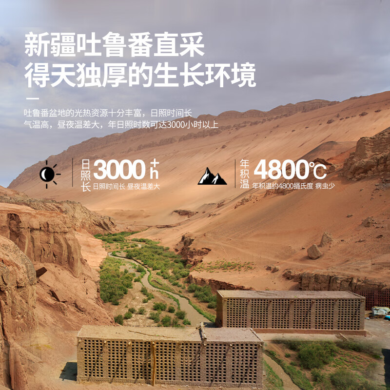 南疆巴朗 葡萄干特级红香妃250g新疆吐鲁番无籽大颗粒小包装