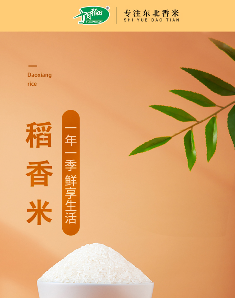 十月稻田 东北大米 香米 粳米 十公斤 当季新米 稻花香2.