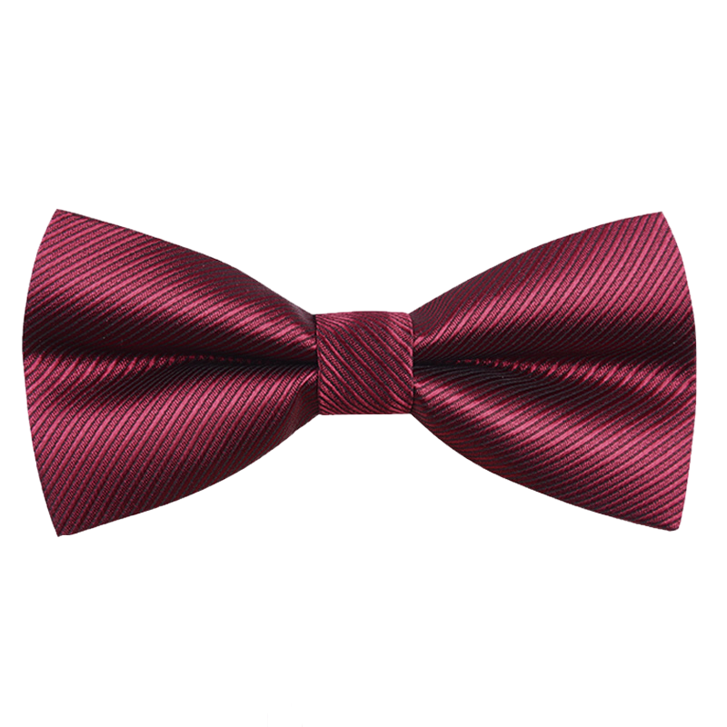 FitonTon Wedding Banquet Bow Tie for Men, Business Groom's Bow Tie, Gift Box Set for Boyfriend, New Year And Valentine's Day Present