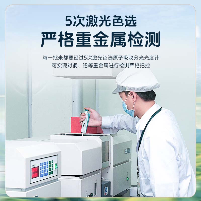 泰金香 玉兰香米 大米10kg 茉莉香米 长粒米 大米20斤家庭装