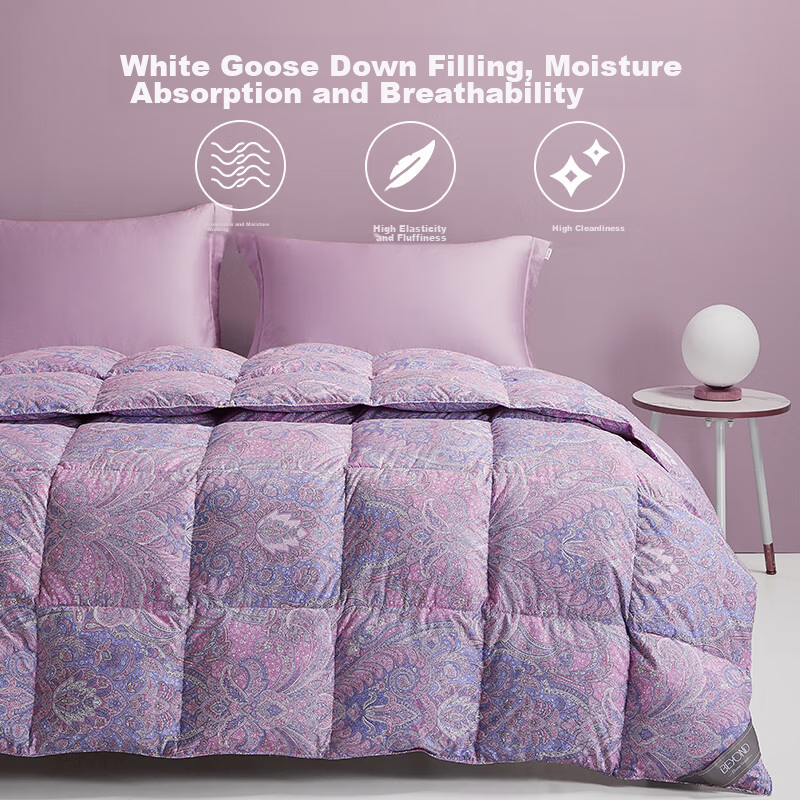 BEYOND Home Textile down Comforter, Antibacterial Washable 95% White Goose Down Duvet, All-Season Comforter with 600g Filling, 220*240cm