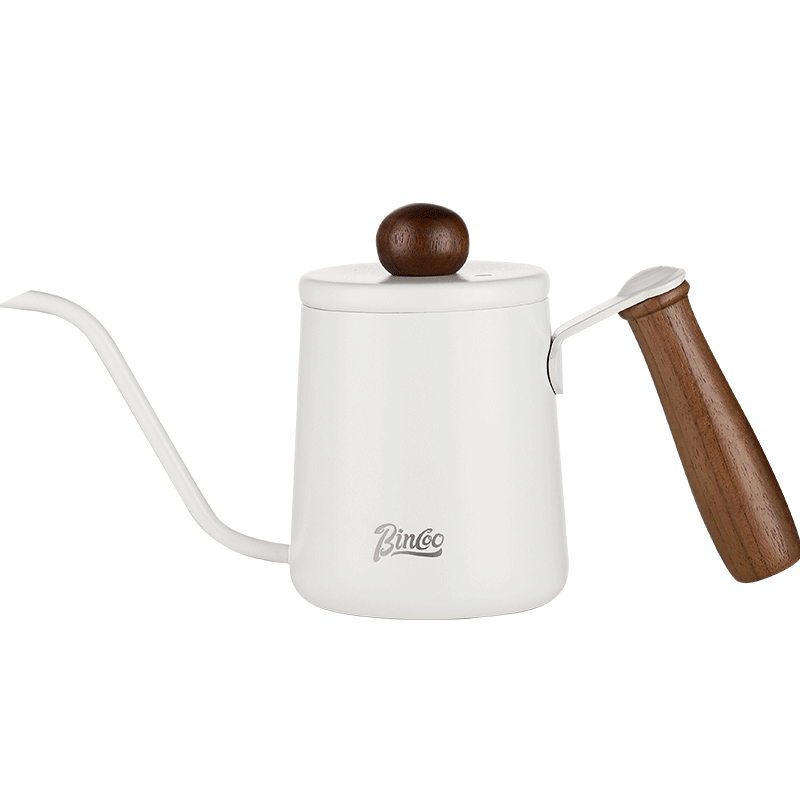 Bincoo Portable Mini Pour-Over Coffee Kettle with Long Spout, Thin Mouth, Stainless Steel Handle And Carrying Strap
