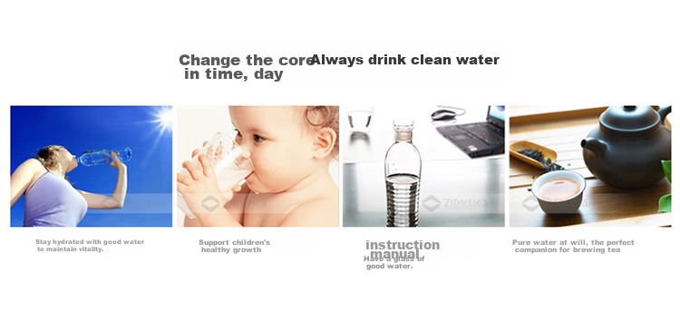 PHILIPS Household Water Purifier Original Activated Carbon Filter Cartridge WP3977/00 (Compatible with Equipment WP4160/WP4186/WP4190/PRO400/PRO500) 12
