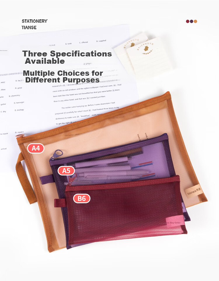 TIANSE Vintage Mesh Document Bag, Student A5 Transparent Stationery File Folder with Zipper for Exam Papers And Receipts Organization, A5 Set - 5 Colors, TS-254 3