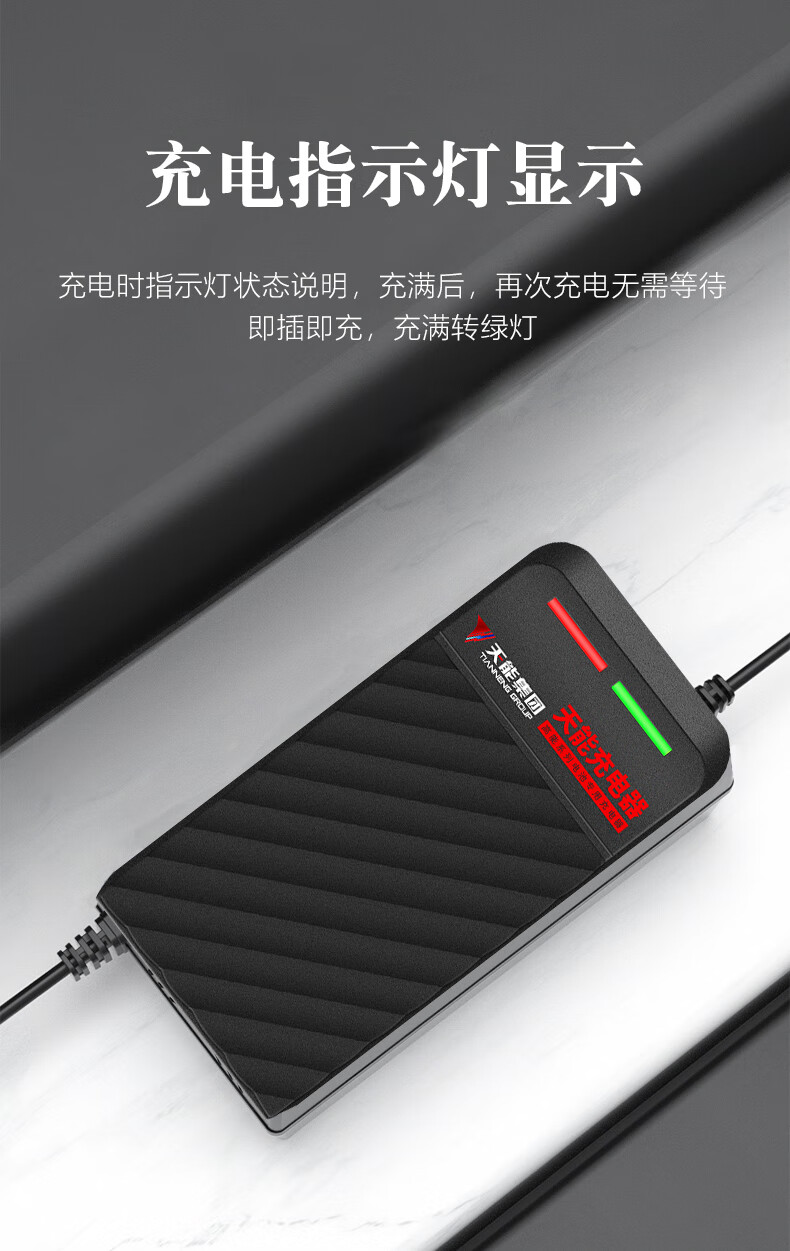 电动车充电器48v锂电池天能 智能脉冲铅酸电瓶48v充电器电动车充电器