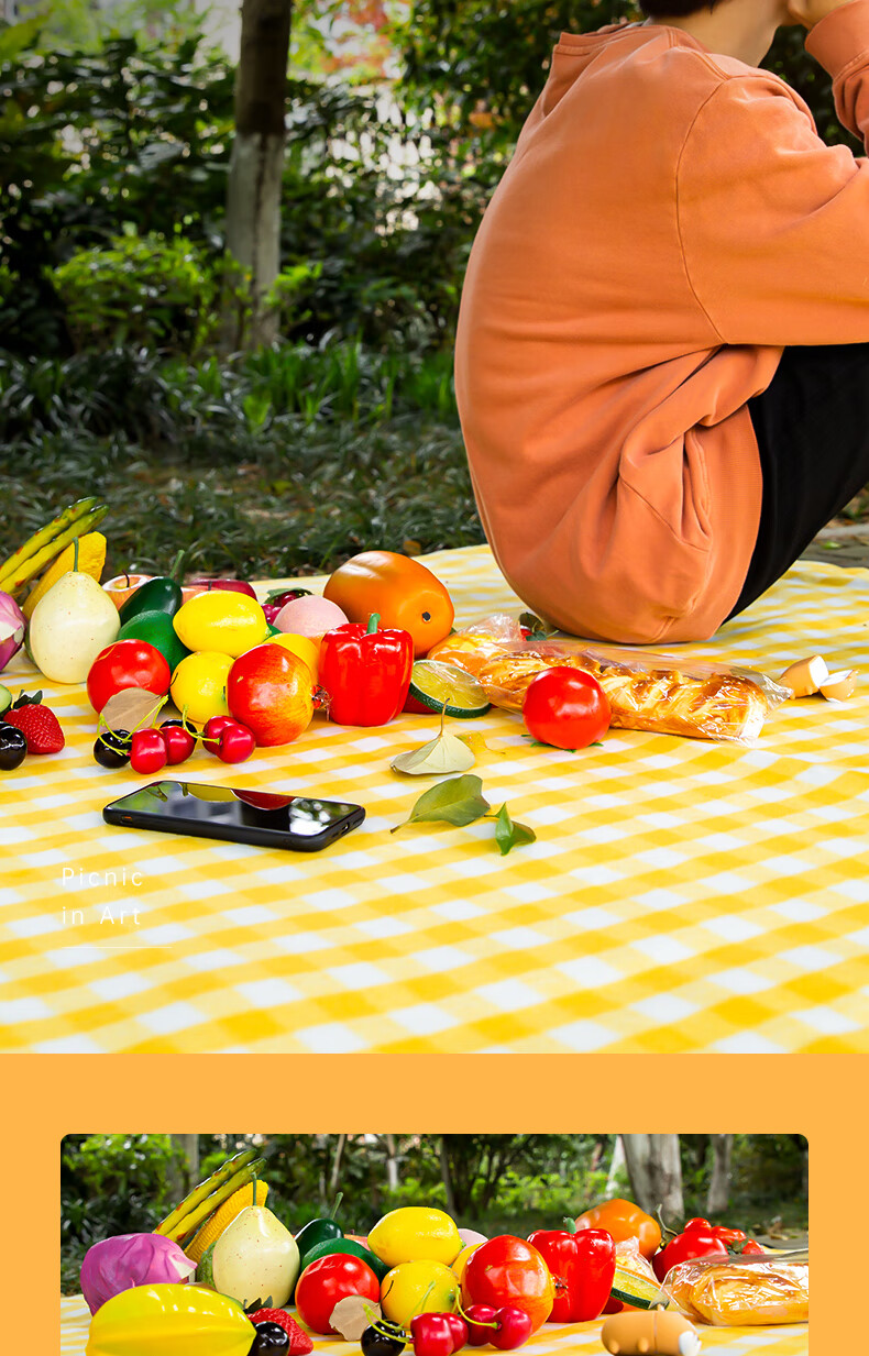 Deli Picnic Mat, Moisture-Proof Pad, Outdoor Thickened Waterproof Insulated Fleece Blanket, Portable Multi-Person Tent Mat, Beach Mat 5
