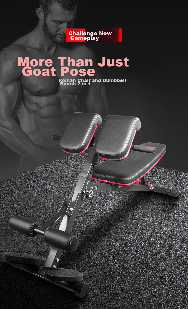 RIDO Roman Chair Adjustable Height Multi-Functional Dumbbell Bench for Home Gym Equipment TD35 1
