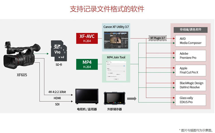 佳能（Canon）XF605 专业数码摄像机 4K高清广播级摄像机新闻报道节目制作现场直播