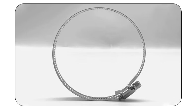 Minhongshi Surveillance Clamp Bracket, Full Steel Clamp, Electrical Pole Clamp Pipe, 304 Stainless Steel Hose Clamp, Stainless Steel Clamp Ring, Diameter 300MM 4