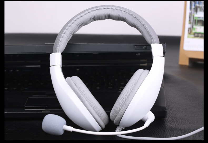 SaLaR A566N Headphones for English Listening And Speaking Exams, Online Classes, High School Entrance Exam, Human-Machine Dialogue with Microphone, 3.5MM Plug for Laptops, Black Single Plug 18
