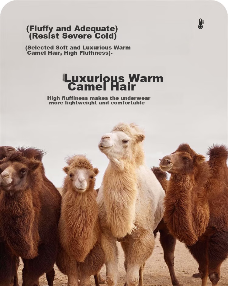 LangSha Cashmere Thermal Pants for Men, Fleece-Lined Thick Cotton Pants, Knee Protection Patches for Middle-Aged And Elderly, Outdoor Wear, Extra Thick for Northeast China 9