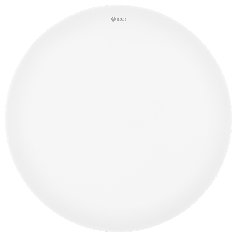 BULL Sound and Light Sensor Ceiling Light MX-A012F-ES 12W for Entrance Hall Porch Balcony Stairway