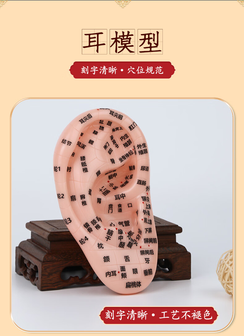 高博士 王不留行籽耳贴耳穴压豆贴耳豆贴耳穴按摩贴耳穴位按压敷贴耳