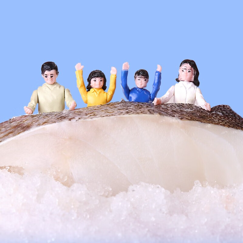 蓝雪冷冻挪威北极鳕鱼柳150g 宝宝儿童装钩钓去刺去骨真鳕鱼海鲜水产