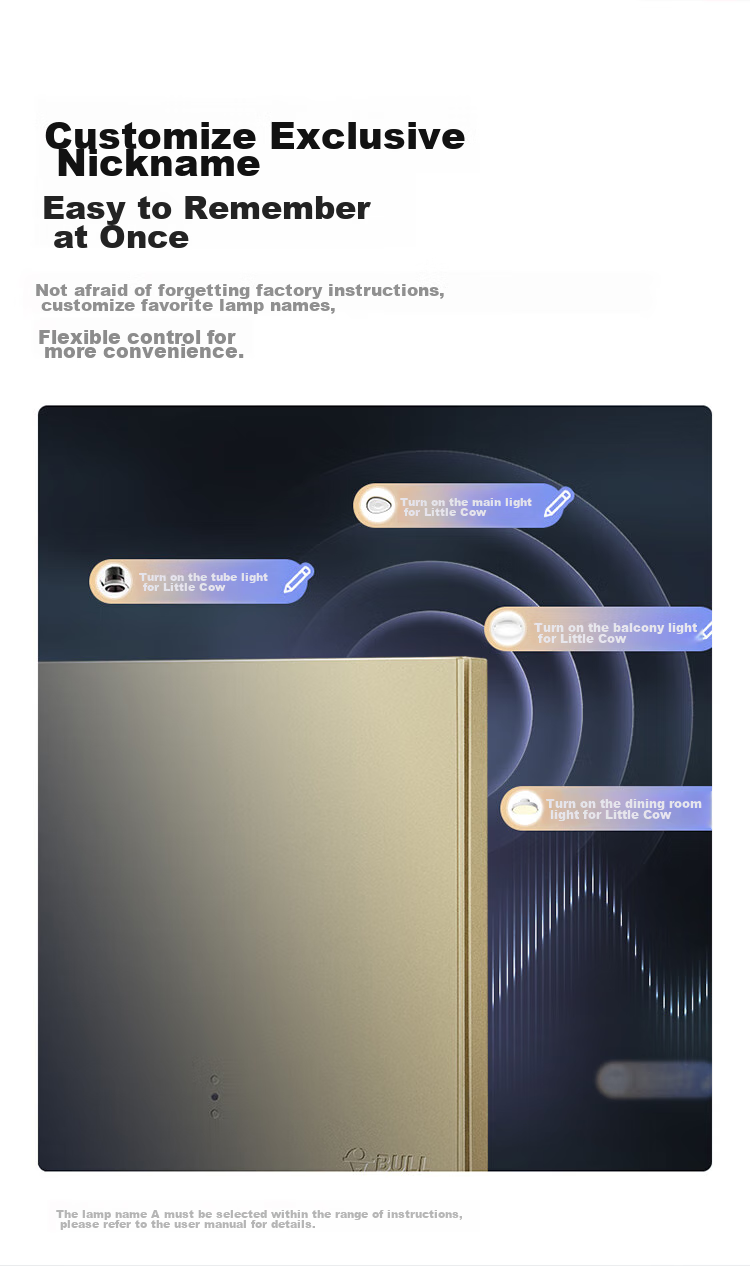 BULL Intelligent Switch, Voice/manual Control, No Network Required, Single Remote Control Switch, Gold GTQ112 8