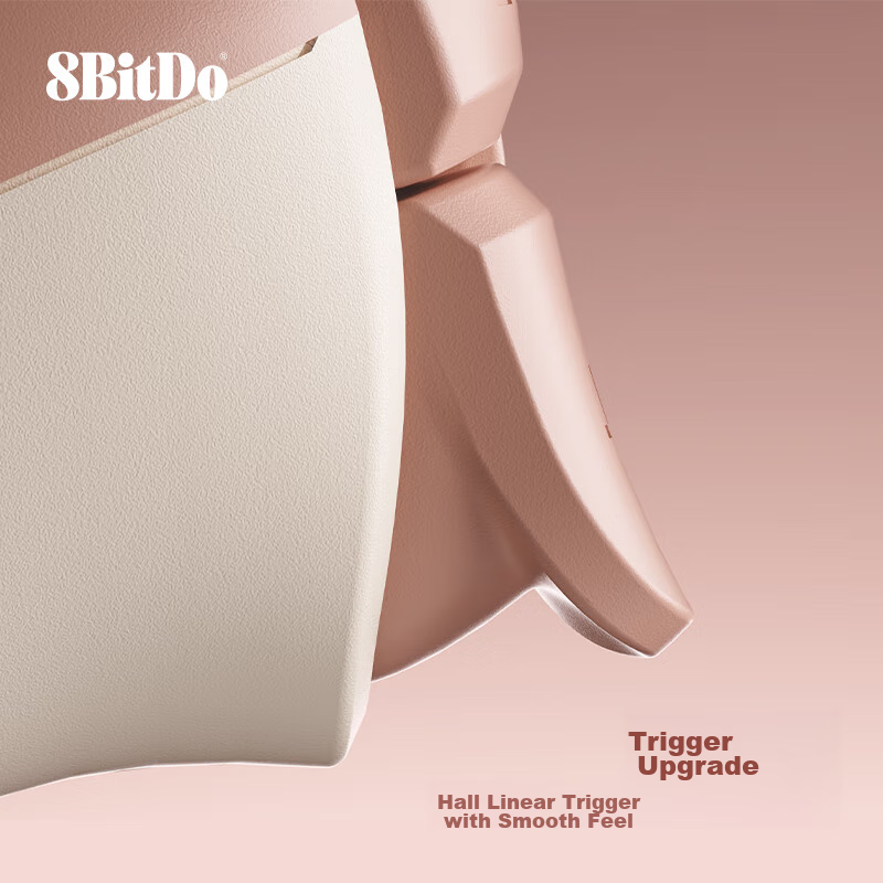 8BitDo...