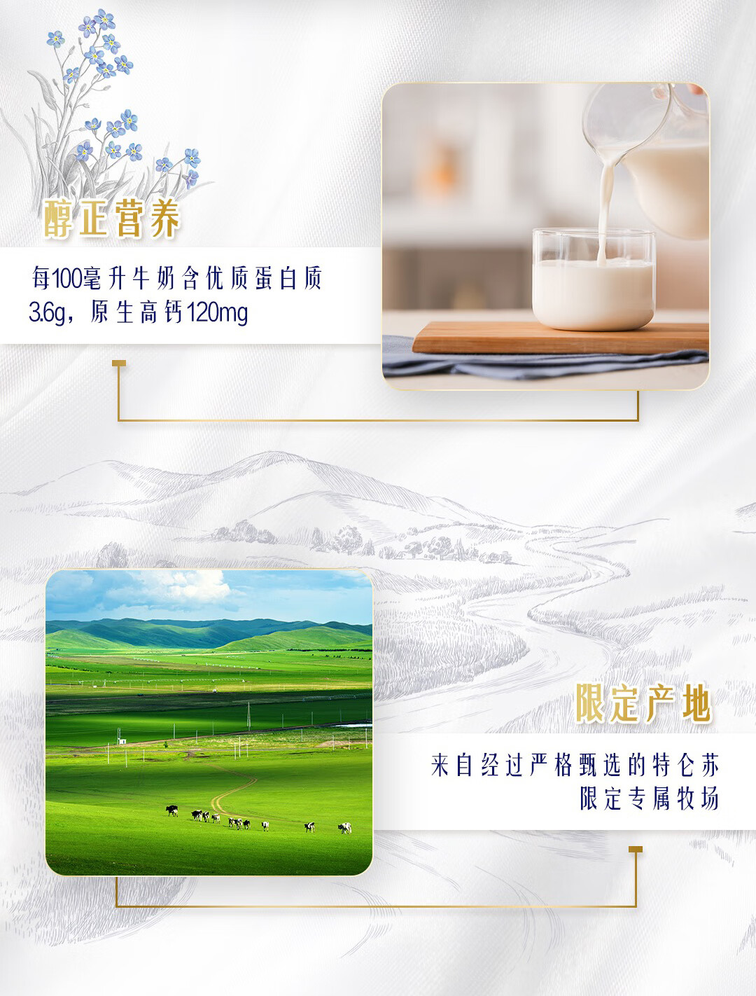 详情图.png