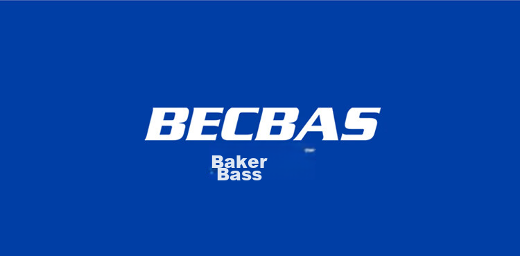 BECBAS Intelligent Garbage Disposal, Kitchen Food Waste Crusher, Wireless Switch E40evo 29