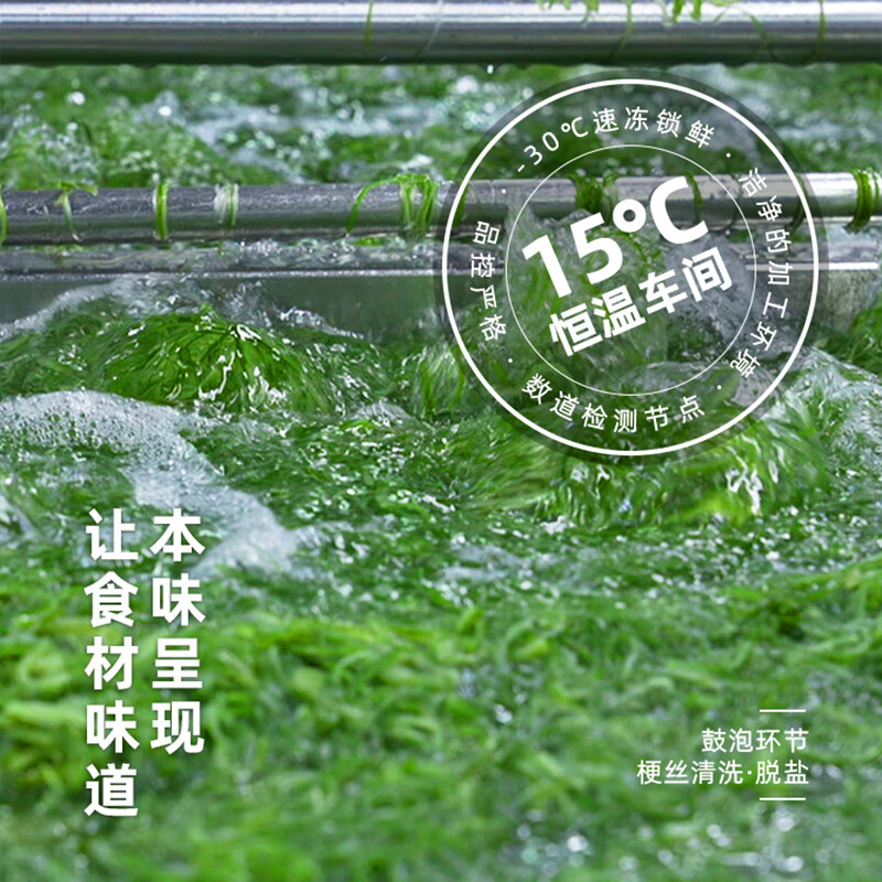 盖世调味裙带菜 净重2斤 芥末味即食海藻沙拉 海草海白菜